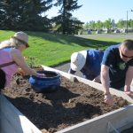 Preparing the soil.